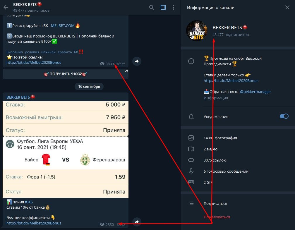 Просмотры и подписчики Телеграмм BEKKER BETS