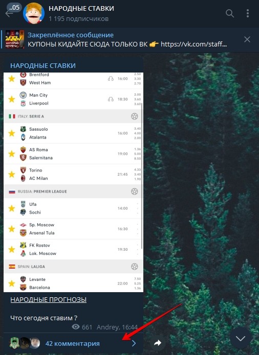Комментарии в Телеграмм Народные Ставки
