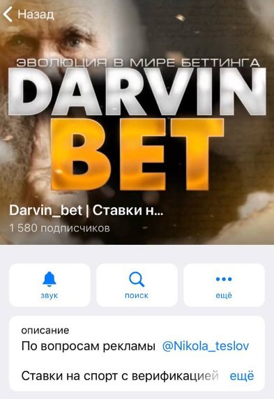 Darvin bet в Телеграмме