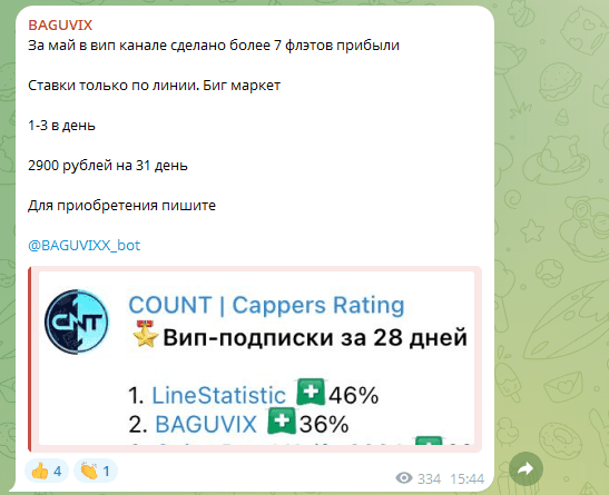 обзор BAGUVIXX_bot