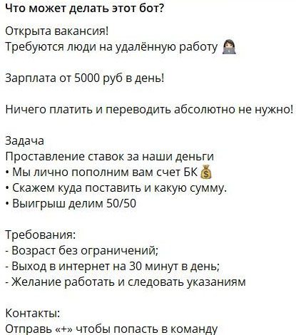 обзор Vip Спортивная Аналитика