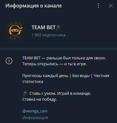 телеграм Team Bet
