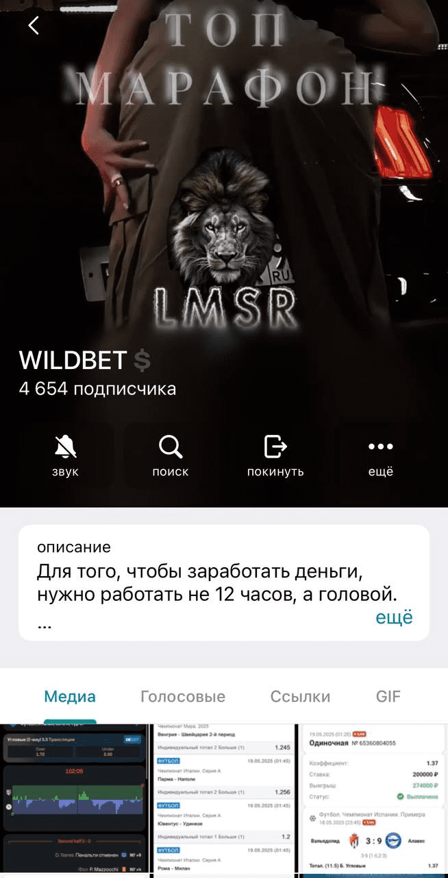 телеграм Wildbet