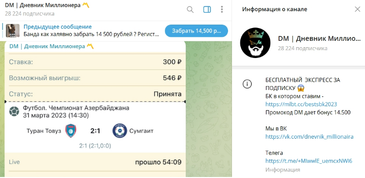телеграмм DM Дневник Миллионера
